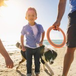 Flugscheibe für Kinder und Erwachsene, 27,9 cm, Flugring, 3 Stück, Strand, Hinterhof, Sport, Spielen, weiche Scheiben, bestes Sport- und Outdoor-Wurfspielzeug, Geschenk für Jungen und Mädchen ab 4 Jahren, Familie, 3 Stück (Gelb, Orange und Türkis) Flugscheibe für Kinder und Erwachsene, 27,9 cm, Flugring, 3 Stück, Strand, Hinterhof, Sport, Spielen, weiche Scheiben, bestes Sport- und Outdoor-Wurfspielzeug, Geschenk für Jungen und Mädchen ab 4 Jahren, Familie, 3 Stück (Gelb, Orange und Türkis)