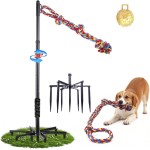 Tether Tug Outdoor-Hundespielzeug, Tether Tug für große Hunde, Federstange für Hunde im Park, Hof, Rasen, 2-Seil-Spielzeug und Klingel, zum Verfolgen und Solo-Spielen, Tether Interactive Dog Tug Toy, für mittelgroße kleine Hunde (schwarz)
