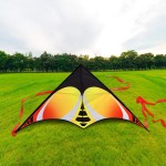 HONBO Delta-Drachen für Kinder, einfach zu fliegen, großer Drachen für Erwachsene, bunter Drachen für Kinder im Alter von 4–10 Jahren HONBO Delta-Drachen für Kinder, einfach zu fliegen, großer Drachen für Erwachsene, bunter Drachen für Kinder im Alter von 4–10 Jahren