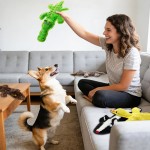 Keine Füllung, Quietschspielzeug für Hunde, 5er-Pack Kauspielzeug mit Knistereffekt, um sie zu beschäftigen, Plüsch-Welpen-Beißspielzeug zum Spielen im Innen- und Außenbereich, bestes Geburtstagsgeschenk für große Rassen