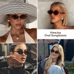 Ovale Retro-Sonnenbrille für Damen, Vintage-Stil der 90er Jahre, Y2K, trendige Designer-Sonnenbrille