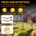 Tether Tug Outdoor-Hundespielzeug, Tether Tug für große Hunde, Federstange für Hunde im Park, Hof, Rasen, 2-Seil-Spielzeug und Klingel, zum Verfolgen und Solo-Spielen, Tether Interactive Dog Tug Toy, für mittelgroße kleine Hunde (schwarz)