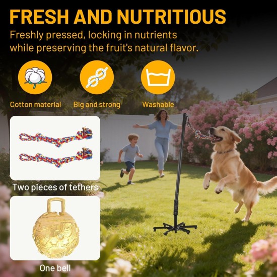 Tether Tug Outdoor-Hundespielzeug, Tether Tug für große Hunde, Federstange für Hunde im Park, Hof, Rasen, 2-Seil-Spielzeug und Klingel, zum Verfolgen und Solo-Spielen, Tether Interactive Dog Tug Toy, für mittelgroße kleine Hunde (schwarz)